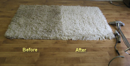 Rug Cleaning Sydney