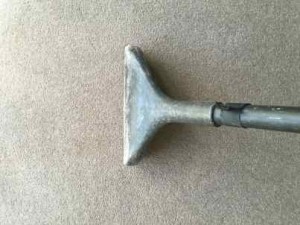 carpet cleaning Lindfield 2070