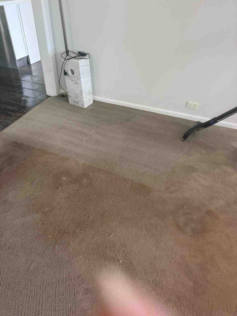 Tile Cleaning Sydney 