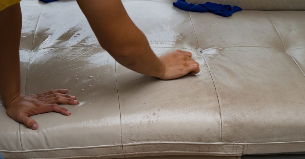 professional leather cleaning services
