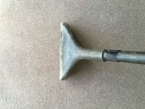 carpet cleaning Frenchs Forest 2086