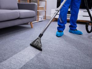 carpet cleaning Forestville 2087