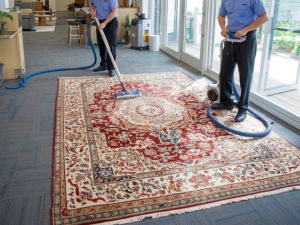 Carpet cleaners Narrabeen Rug Carpet service Narrabeen