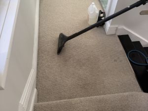  Rug, Tile And Carpet Cleaning Eastwood