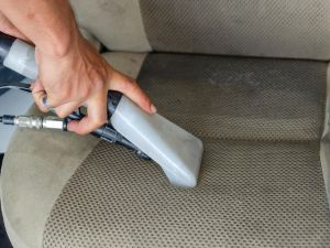 upholstery cleaning Frenchs Forest 2086