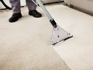 Rug Carpet Cleaners 