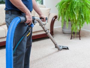 Professional Carpet Cleaners