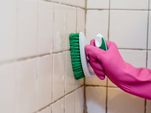 Carpet Cleaner Services