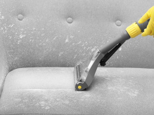 upholstery carpet cleaners