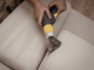 sofa Cleaner services