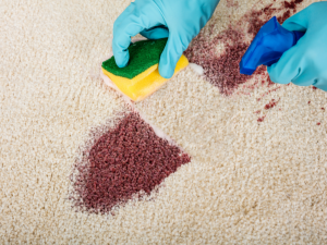 Cleaning Westleigh
