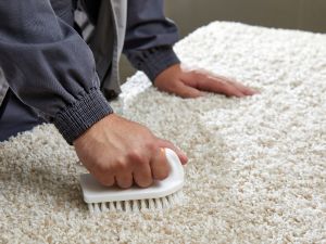 Carpet Cleaning services
