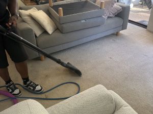 rug-carpet-cleaners , Carpet Cleaning Service