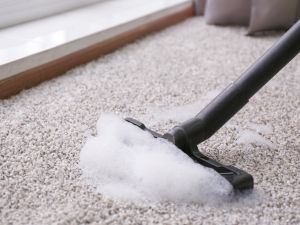 Rug Carpet Cleaners