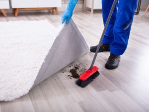 Cleaning services Balgowlah