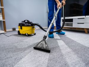 Carpet Cleaners Services 