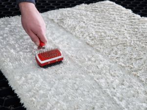Carpet Cleaning services