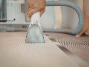 Rug Carpet Cleaners 