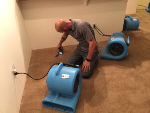 Carpet Cleaners Hornsby