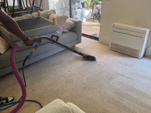 Carpet Cleaners Services Seaforth
