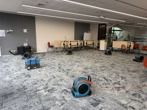 Carpet Cleaning Services Normanhurst 