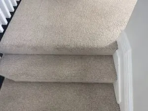 Carpet and Rug Cleaning Northern Suburbs