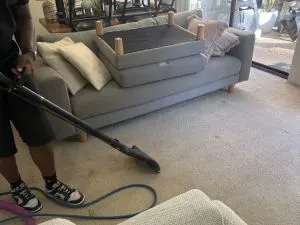 Rug & Carpet Cleaners Lower North Shore
