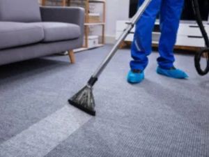 Rug Carpet Cleaners
