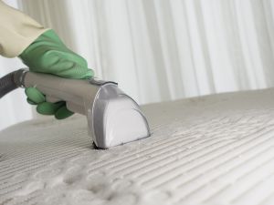 Rug Cleaning Narraweena 