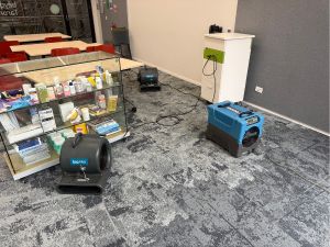 Tile Carpet Cleaners Seaforth