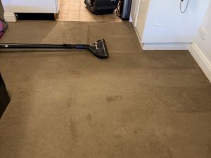 Tile Cleaning Davidson