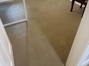 Tile & Grout Cleaning Northern Beaches