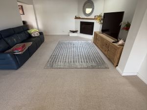 Trusted Carpet Cleaners Denistone