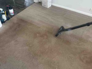 Carpet Cleaning Normanhurst