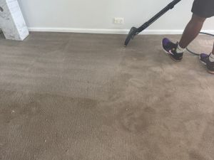 Upholstery Carpet Cleaners