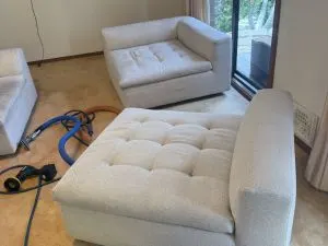 Upholstery Cleaning Lower North Shore