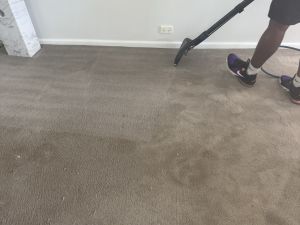 Upholstery Cleaning in Beecroft
