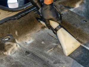 Rug Carpet Cleaners Killarney Heights