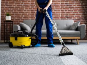 Rug, Upholstery, Tile And Carpet Cleaners Manly Vale 2093