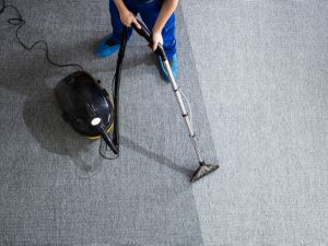 professional carpet cleaning Wahroonga