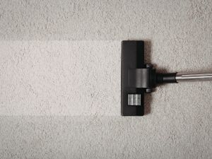 rug cleaning service Turramurra
