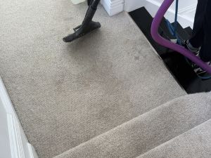 tile cleaning service in Waitara